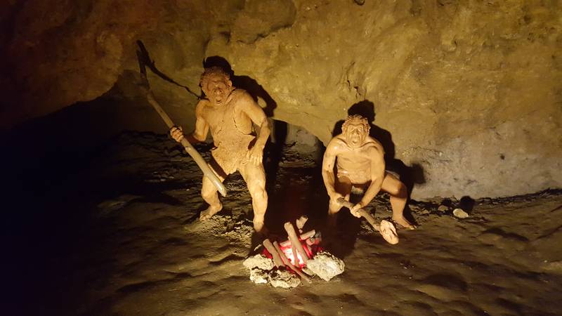 'Zagrebački neandertalci' živjeli su u Veternici, ali samo dok špiljski medvjed 'nije bio doma'