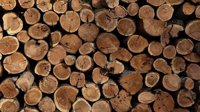 Texture,And,Background,Formed,By,Logs,Cut,For,Firewood