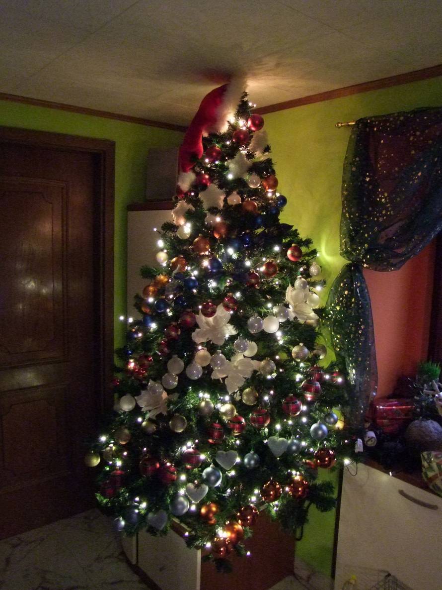 Šaljite fotografije božićnih jelki i osvojite vrijednu nagradu...