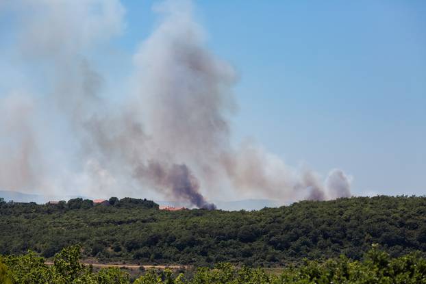 Visočane: Požar na Benkovačkoj cesti gase vatrogasci i kanader