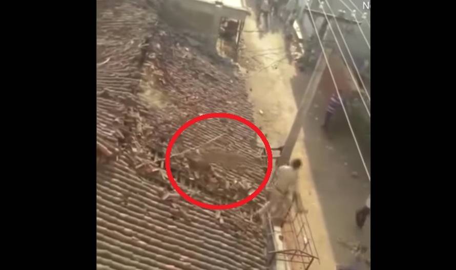 Harao selom: Leopard izgrizao dijete i bacio muškarca s krova