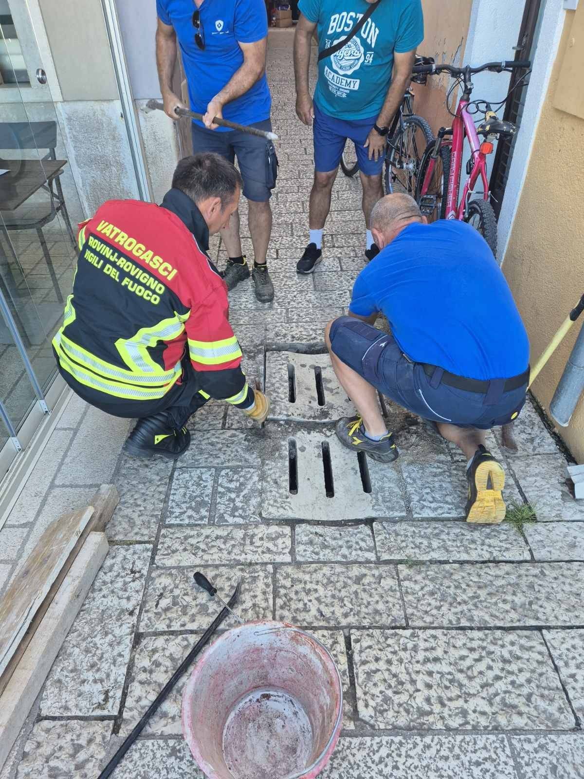 Galeb zapeo u kanalizaciji u Rovinju: 'Dobro je, ali nikome nije jasno kako je ondje završio'