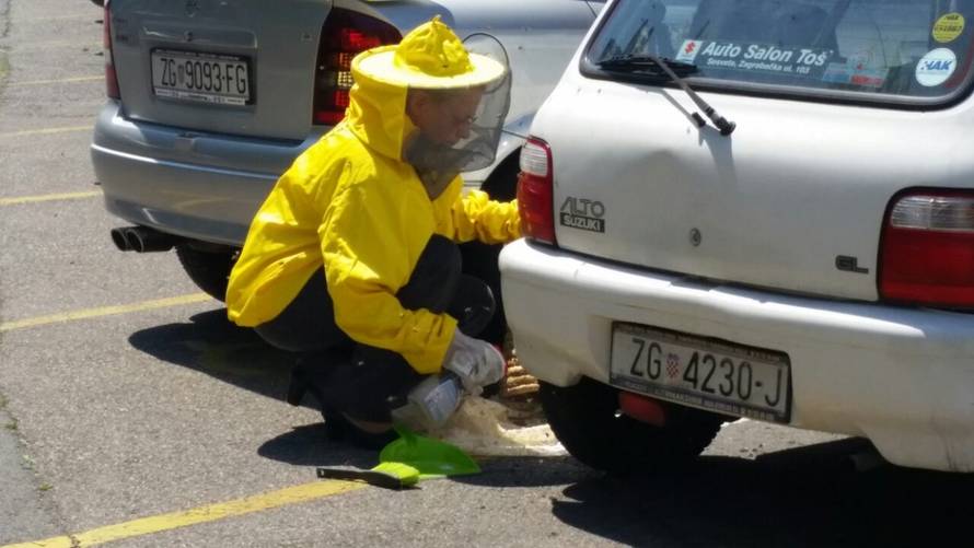 Pa se ti vozi: Veliki roj pčela 'zaposjeo auto', stigla i policija