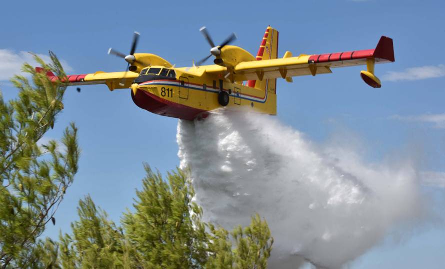 U Žaboriću gori borova šuma, vatrena stihija prijeti kućama