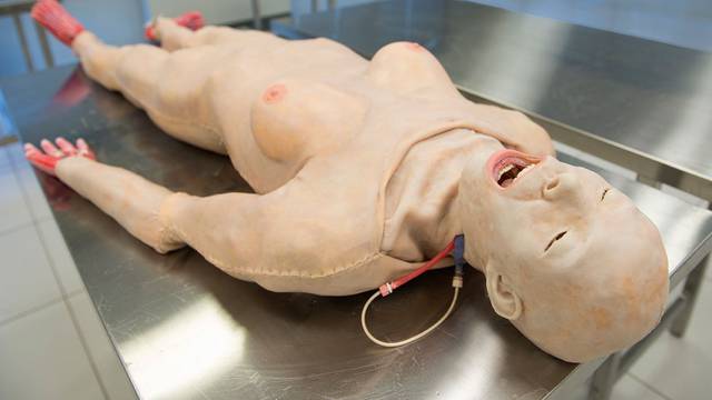 SynDaver Labs
