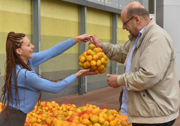 Zagreb: Prodavačica mandarina Kristina Penava ponovno prodaje mandarine na štandu 
