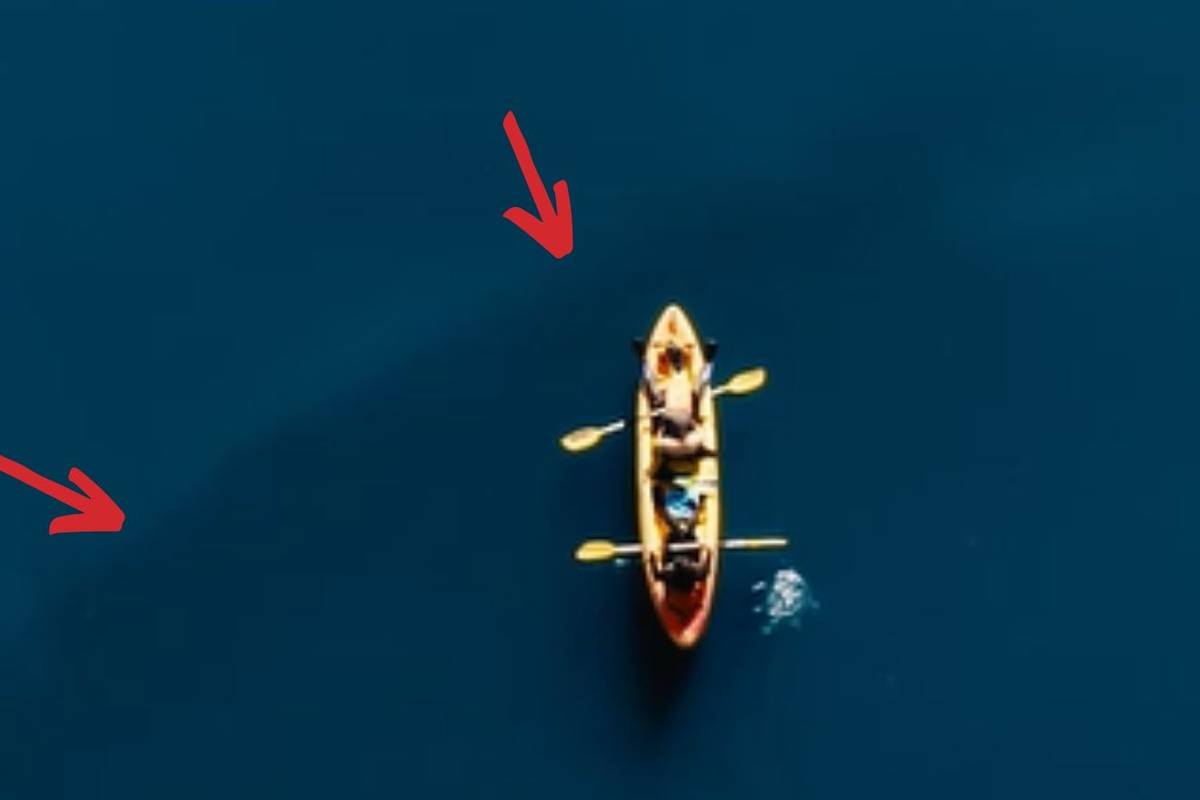 VIDEO Snimio kita u Karinskom moru: 'Prošao je ispod našeg kanua, bio je veći od kamiona'