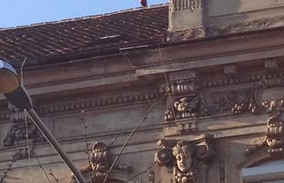 Zagreb: Fazan je s krova zgrade promatrao prolaznike