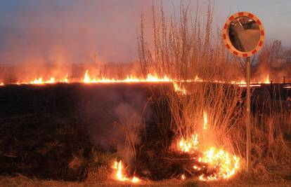 Slavonski Brod: Palili su korov pa izazvali požar u šumi