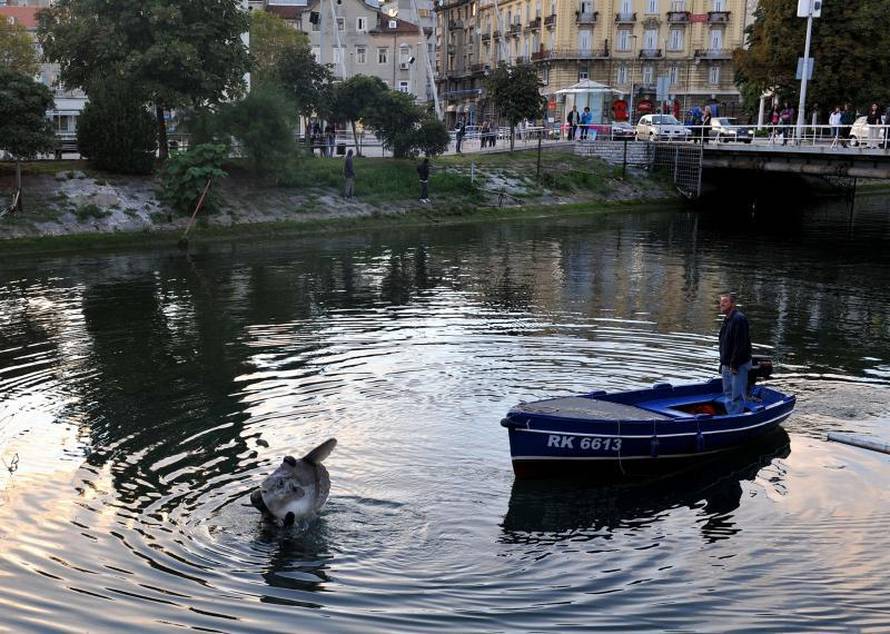 Damir Skomrlj/NL/Pixsell