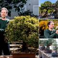 'U Kaštelima imam skriveni vrt sa 100 dalmatinskih bonsaija'