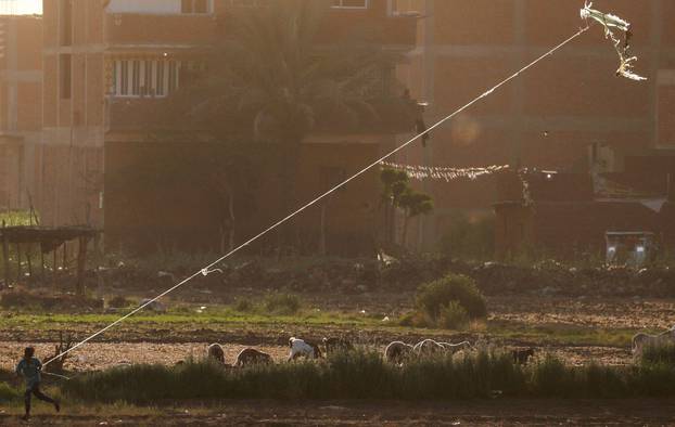 Igra zmajevima iznad Egipta: Sami ih izrađuju pa trče s njima po polju dok čuvaju stado ovaca