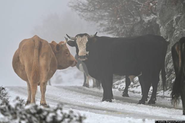 Na Biokovu pao novi snijeg