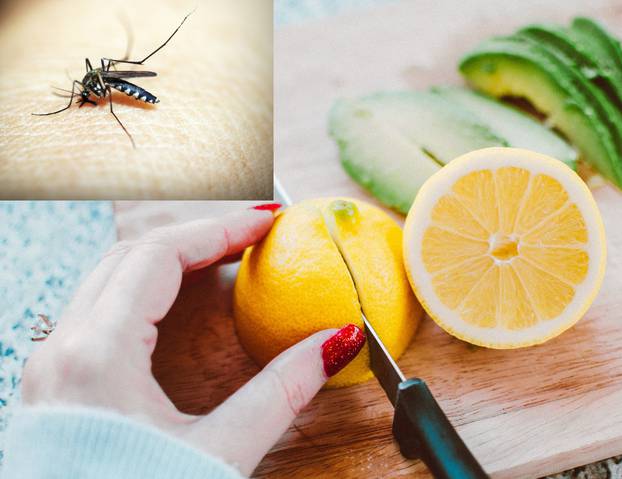 Trik s limunom za komarce