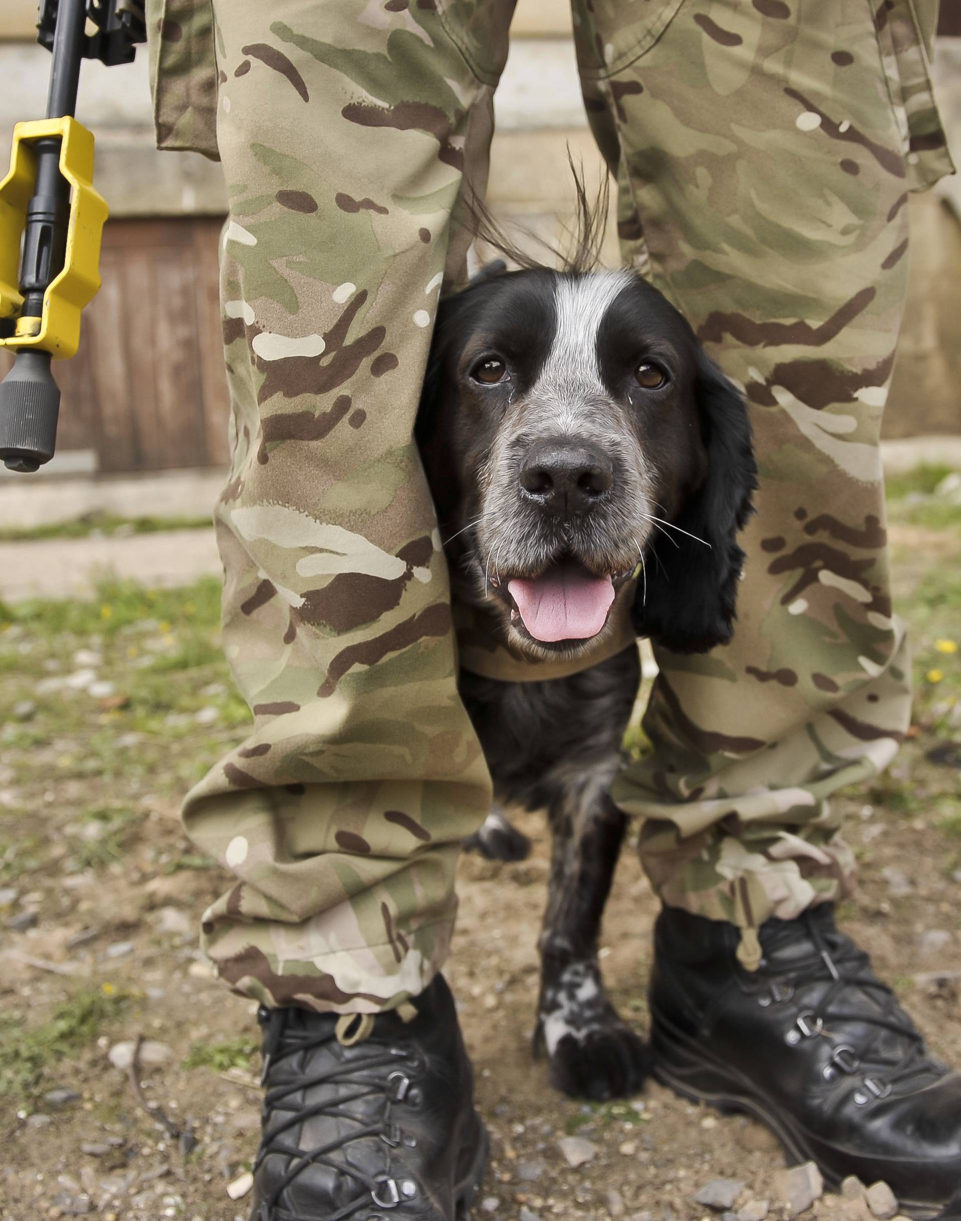 Military training