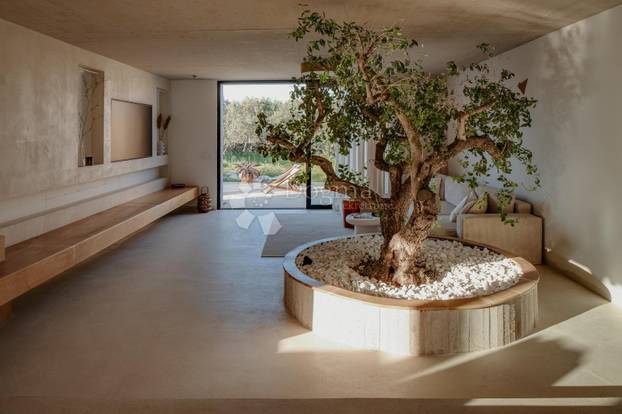 FOTO Nikad viđeno! Prodaje se vila na Šolti. Stoljetna maslina vam raste kraj kauča. Evo cijene