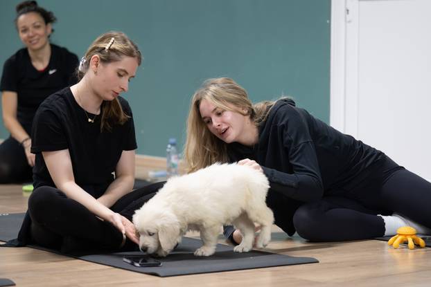 24SATA Paw Yoga, inovativni koncept joge koji je stigao u Hrvatsku