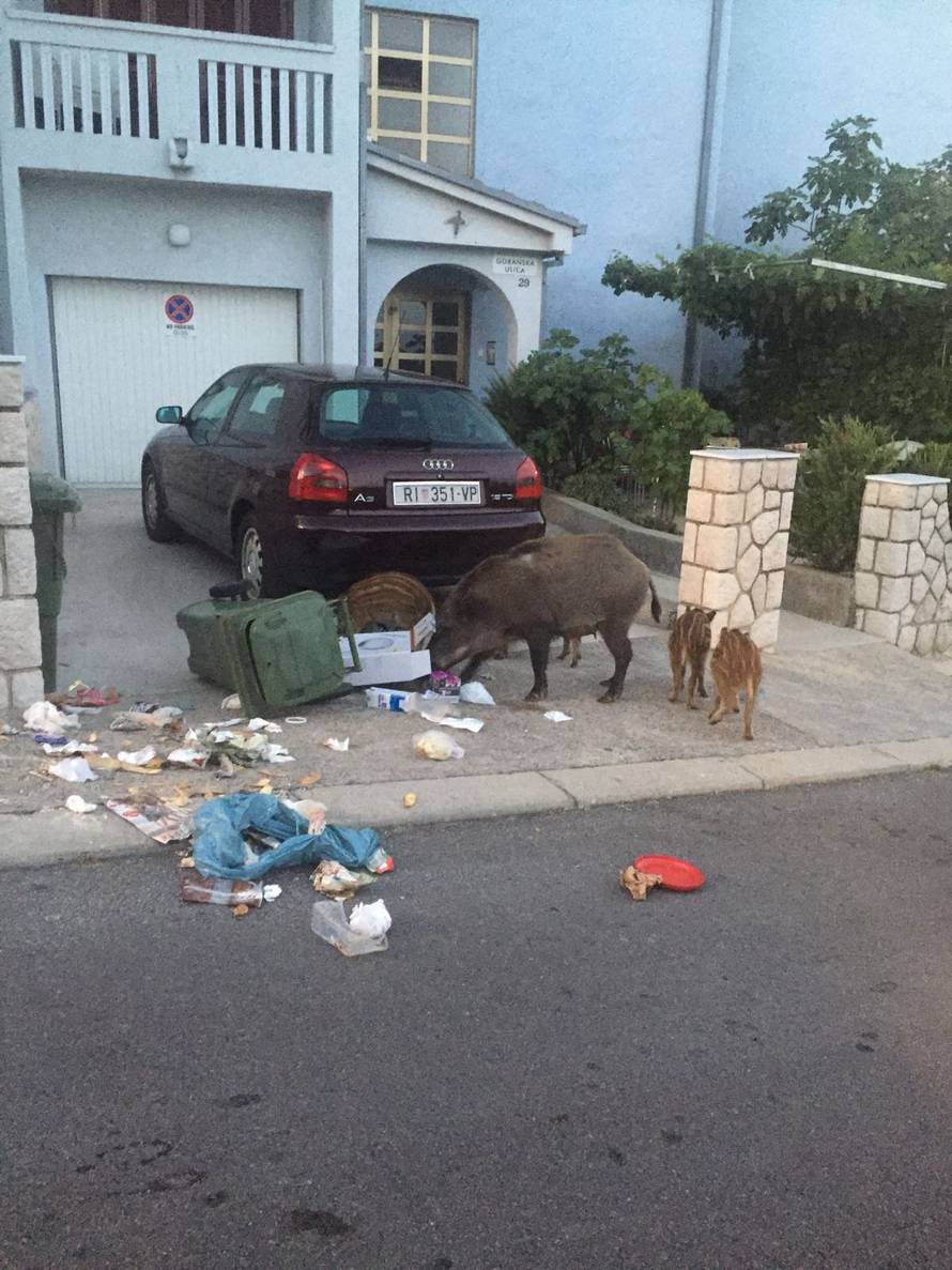 Svinjska gozba u Crikvenici: Častile se na švedskom stolu