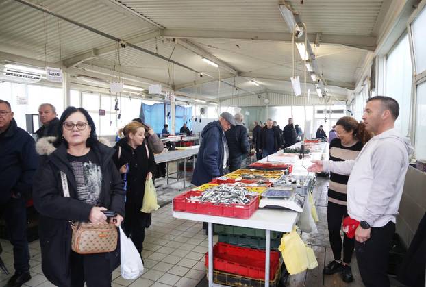 Šibenik: Skromna ponuda srdela i ostale ribe na ribarnici