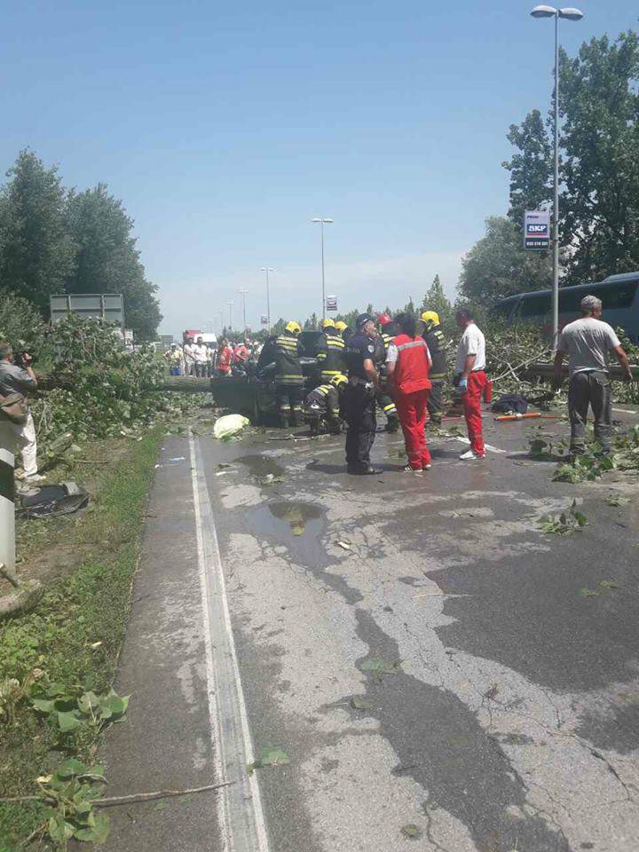 Stablo smrskalo auto: Poginula žena, suvozač teško ozlijeđen