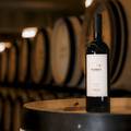 Dalmatinska vinarija Markus s Pepejuhom osvojila svjetski vrh