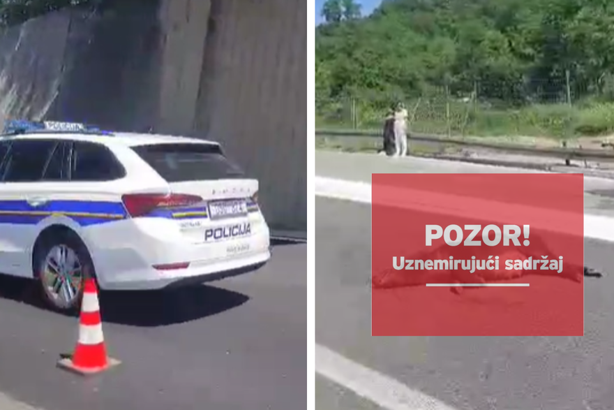 Kod odmarališta Vrata Jadrana mrtva životinja na cesti