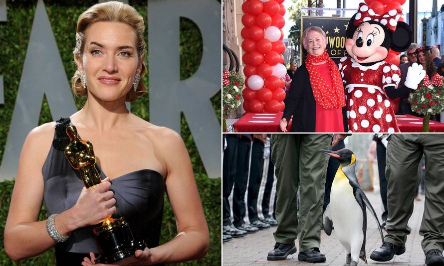 Činjenice o svijetu, ali i Kate Winslet, koje će vas razveseliti