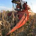 Hrvatska bilježi snažan rast poljoprivredne proizvodnje