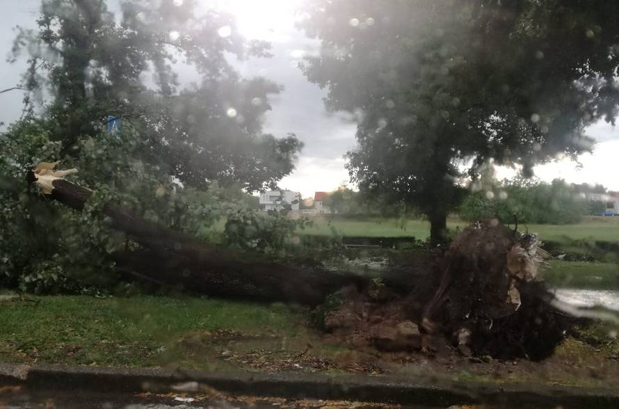 Oluja u Hrvatskoj čupala stabla i poplavila ulice, bilo je i tuče...