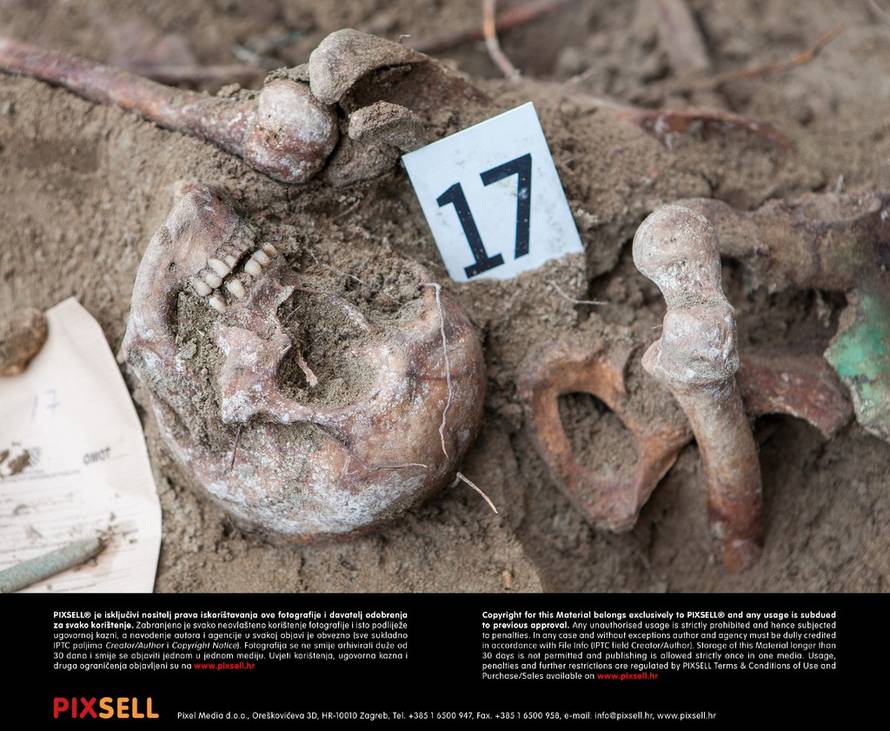 Grgo Jelavić/PIXSELL