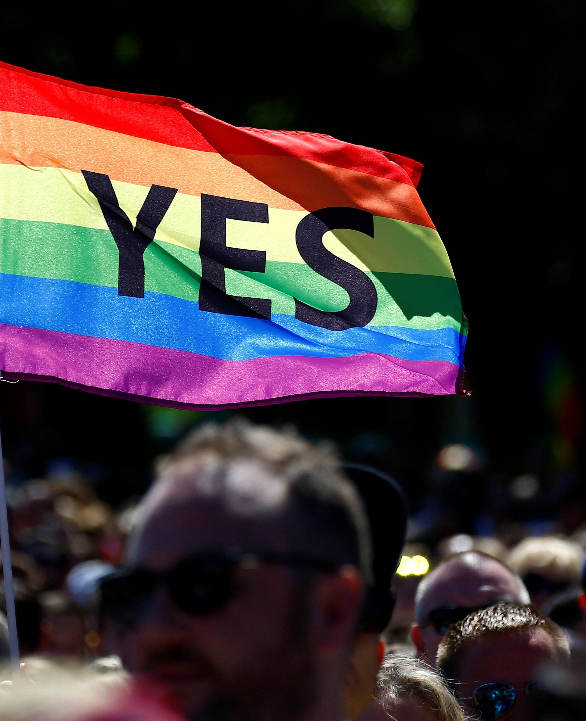 Supporters of the 'Yes' vote for marriage equality celebrate after it was announced the majority of Australians support same-sex marriage in a national survey, at a rally in Sydney