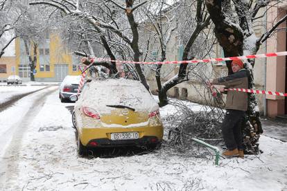 Na parkirani automobil u Osijeku palo stablo