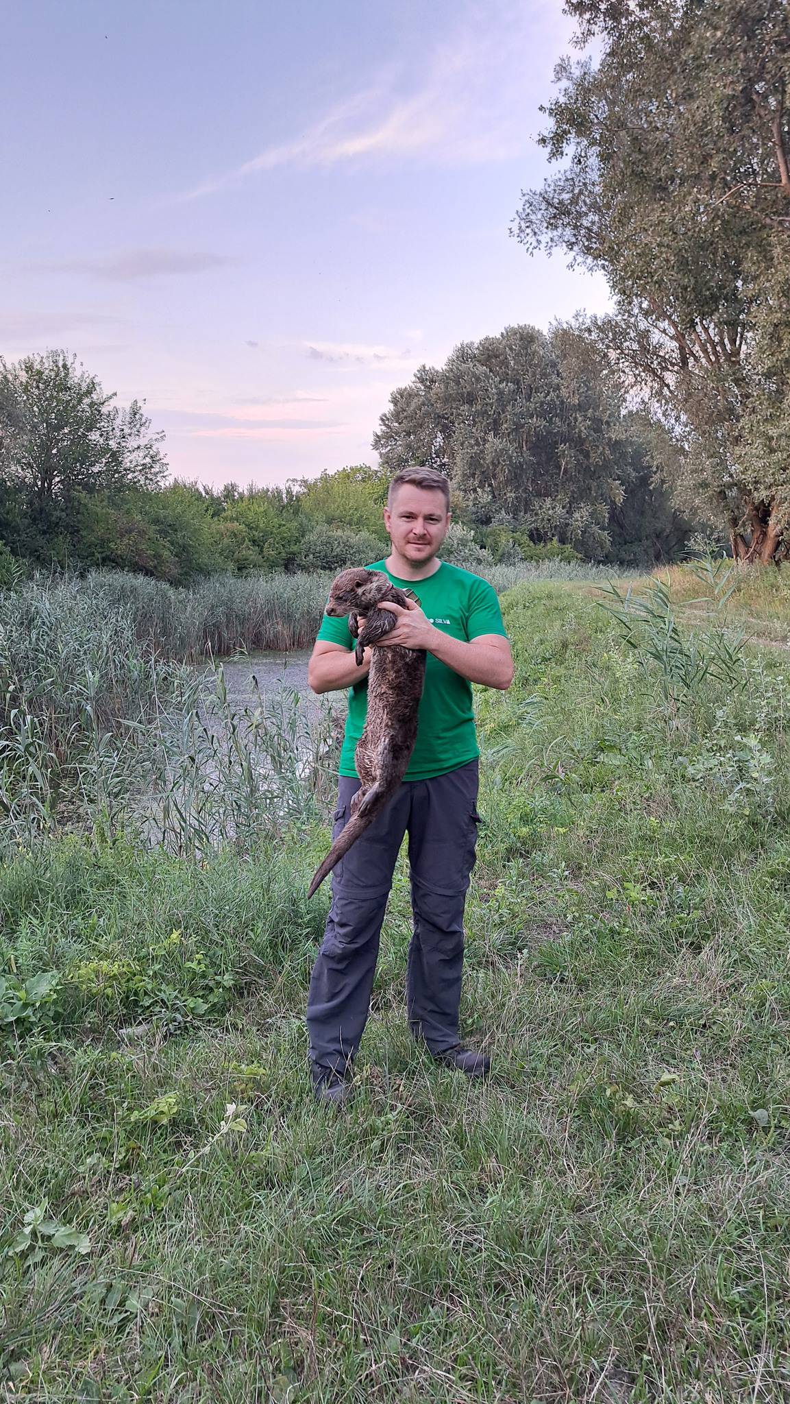 Stručnjaci u Kopačkom ritu prate populaciju vidre: 'Dugo ga čekamo, nazvali smo ga Godot'