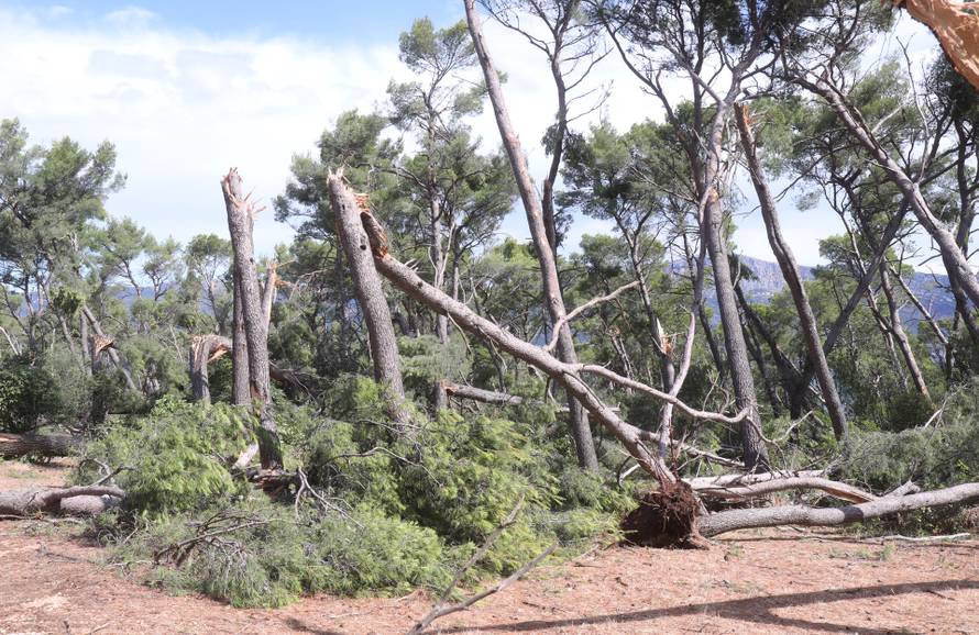 Posljedice velikog nevremena u Splitu, Marjan oštećen i zatvoren za građane