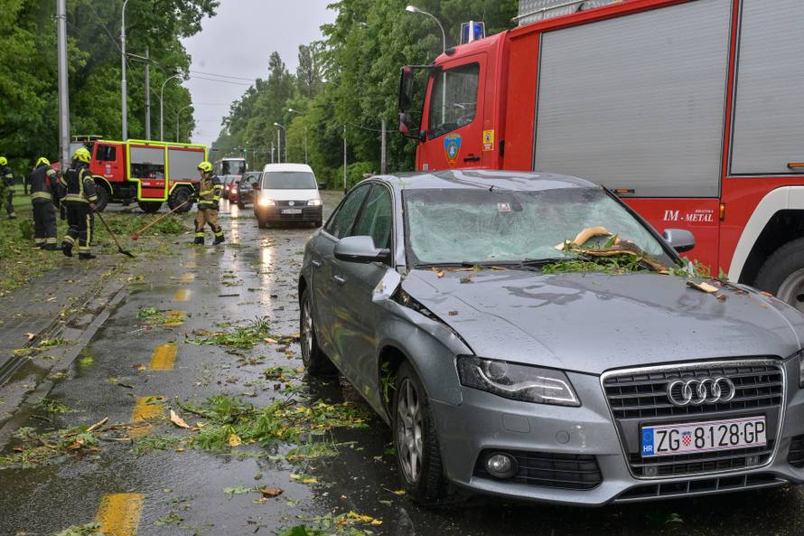 Zagreb: Palo stablo na Maksimirskoj, blokiran promet, vatrogasci na terenu