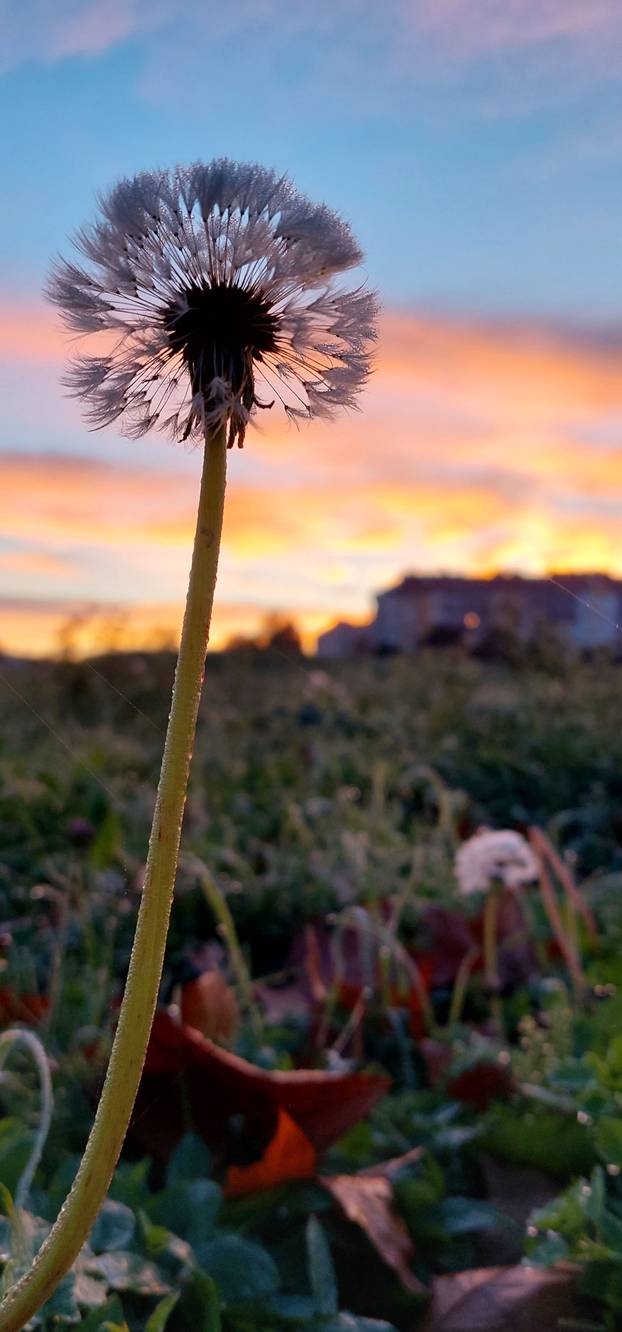 Zagreb: Spektakulrano jesensko svitanje na istoku grada