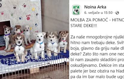 Pomozite preslatkim psima iz Noine Arke: Ako imate stare deke odnesite ih u sklonište