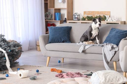 Vrijeme je neprocjenjivo: Uz ove savjete mrvice, dlake i borove iglice više neće biti problem