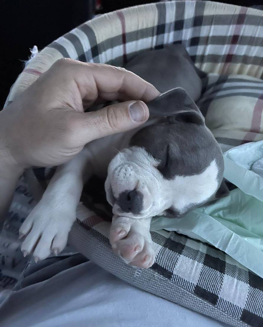 Indira Levak objavila selfie sa suprugom i otkrila: 'Oboje smo ranjeni. Mjesecima živim u boli'