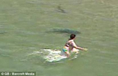 SAD: Jato morskih pasa je opkolilo plivačicu u plićaku