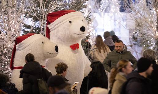 GALERIJA Advent u Zagrebu nije nikad bio ljepši, a na Tuškancu su svoj show imali i sokolari