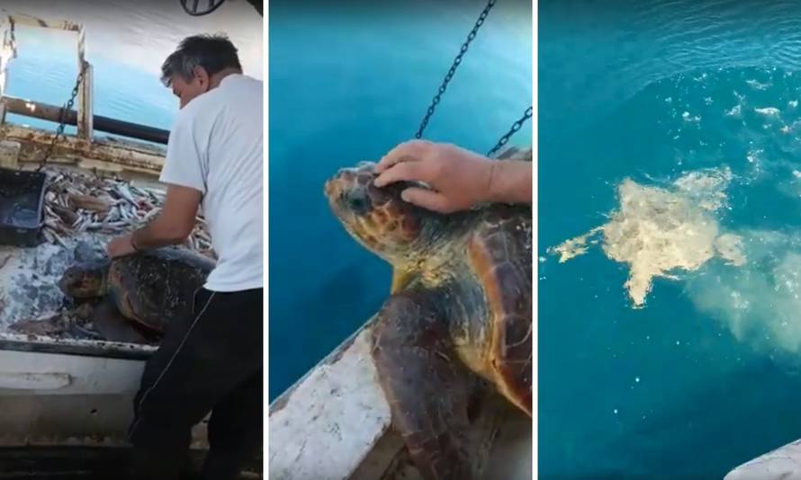 U mreži našao i spasio želvu: 'Bio nam je baš dobar osjećaj'