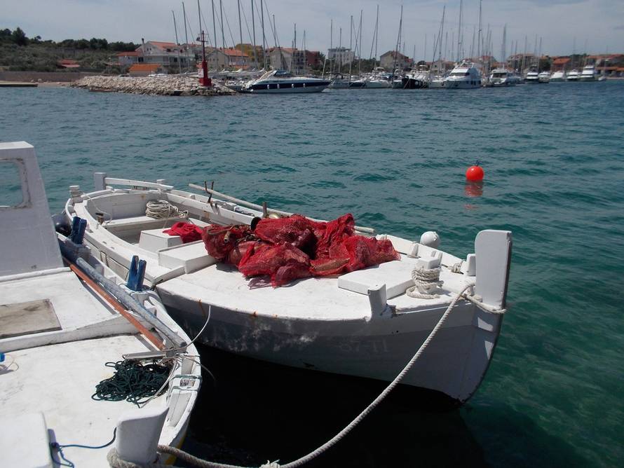 Velika eko akcija