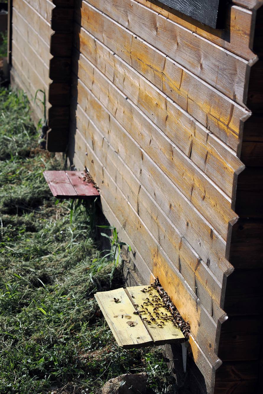 U Baškoj se uživa i ove jeseni