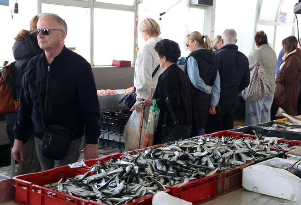 Šibenik: Poskupljenje plavog dizela još se nije odrazilo na cijene u ribarnici