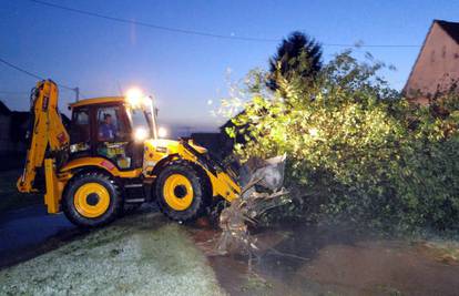 Oluja u Štitaru: Padala je tuča, a vjetar rušio stabla
