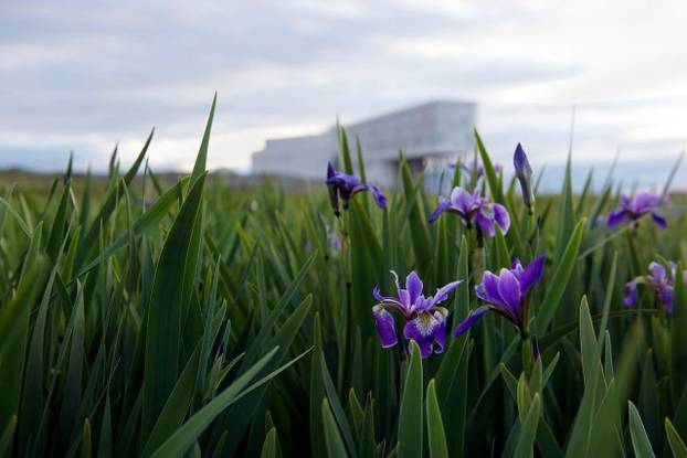 FOTO Ovo je hotel na rubu svijeta: Pogled s Fogo Island Inna ostavit će vas bez riječi