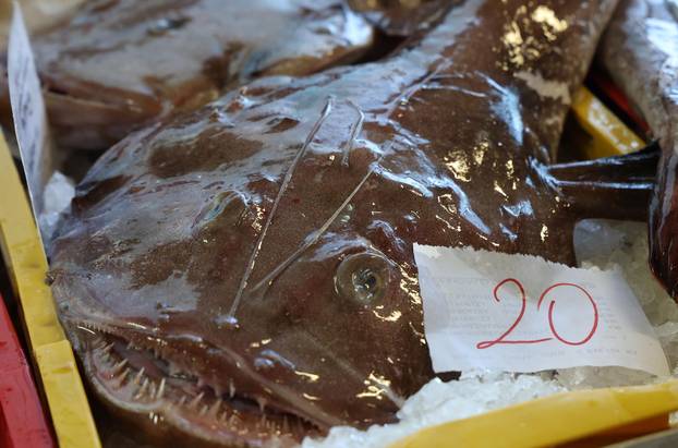 Šibenik: Ponuda ribe u šibenskoj ribarnici