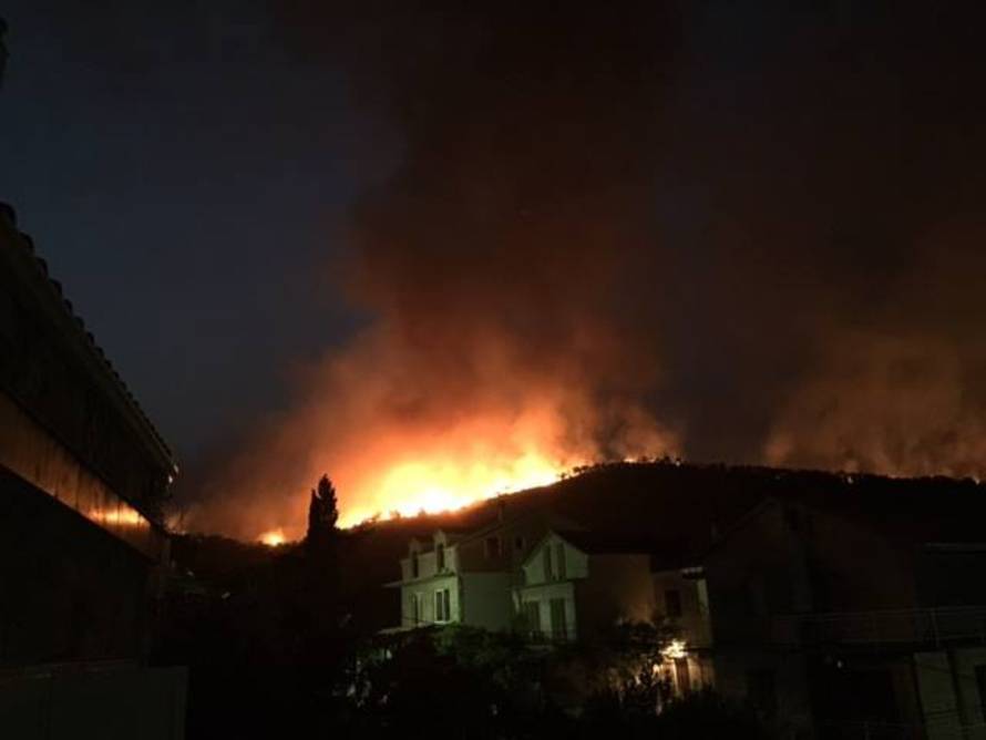 Ruža Tomašić/Facebook