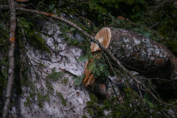 Zagreb: Posljedice olujnog nevremena na Sljemenu